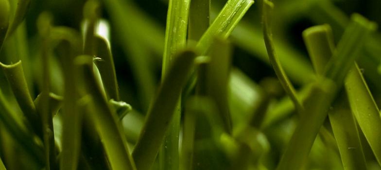 Safety of 3G pitches in the UK