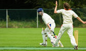 Cricket Feature Image